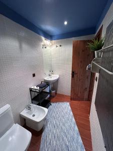 La salle de bains est pourvue d'un lavabo et de toilettes. dans l'établissement Apartamento ático-dúplex en Casa Rural Fundanal en Hoz de Jaca, à Hoz de Jaca