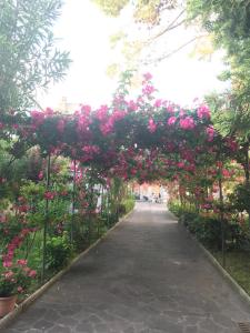 a walkway covered in pink flowers in a park at Hotel VILLA PINA in Senigallia
