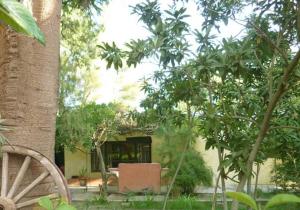 a garden with a table and chairs and trees at Casa de Campo histórica el ñango in San Martín