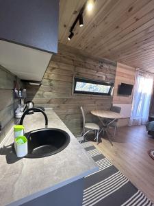 a kitchen with a sink in a tiny house at REST 360 in Sheshory