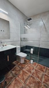 a bathroom with a shower and a toilet and a sink at la casa del abuelo in Sebúlcor