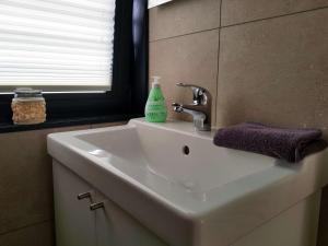 a bathroom sink with a green soap bottle on it at Hausboot Marama - LP10 in Peenemünde