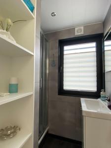 a bathroom with a shower and a sink and a window at Hausboot Krosse Krabbe - LP6 in Peenemünde