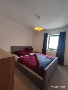 a bedroom with a bed with red pillows and a window at Ferienhaus Schreinert in Breitenbrunn