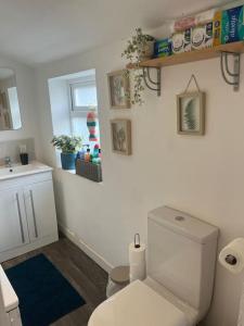 a bathroom with a toilet and a sink and a window at Just the Splott! Sleeps 6, 8 mins to Stadium. in Cardiff