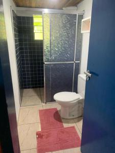 uma casa de banho com um WC e uma cabina de duche em vidro. em Pousada Tiê-Sangue em Iporanga