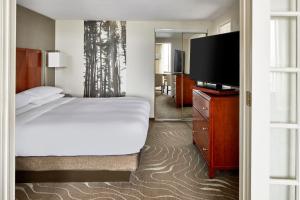a bedroom with a bed and a flat screen tv at Detroit Metro Airport Marriott in Romulus