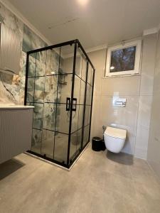 La salle de bains est pourvue d'une douche en verre et de toilettes. dans l'établissement Airport Blue Eye House Ideal for air travellers 5 km from Airport, à Dalaman