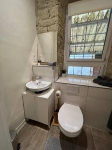 a bathroom with a toilet and a sink and a window at Öko Lehmbau direkt am Main in Marktbreit