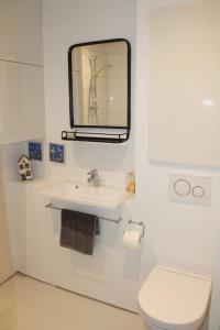 Ванная комната в Anneks med eget toilet og bad - gratis parkering