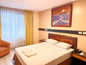 Postelja oz. postelje v sobi nastanitve GH Alexander Hotel