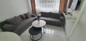 uma sala de estar com um sofá e uma mesa em Appartement centre de Annemasse em Annemasse