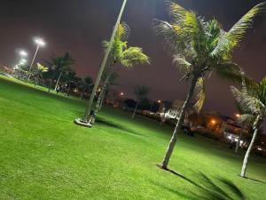 two palm trees in a park at night at MOHAMMAD HOSTEL in Muscat