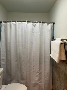 a bathroom with a shower curtain and a toilet at Entire apartment close to downtown - 2 queen beds in Springfield