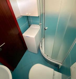 a small bathroom with a toilet and a shower at Apartment Beach View in Kruševo