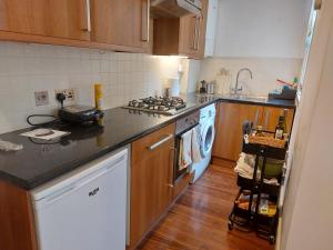 a kitchen with a sink and a stove top oven at Epsom Road studio flat in Croydon