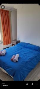 ein blaues Bett mit zwei Kissen darüber in der Unterkunft OLIEMI in El Calafate