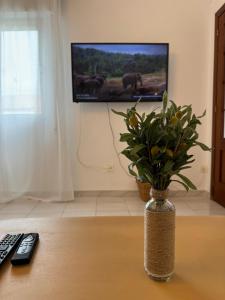 a vase with a plant on a table with a tv at ENTOELCENTRO in Baeza