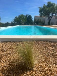 a swimming pool in a gravel yard at La Quinta da Liberdade - Ferme de charme en Algarve in Pechão
