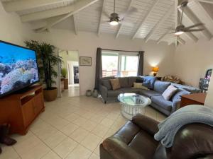 sala de estar con sofá y TV de pantalla plana en JJ's Getaway, en Cruz Bay