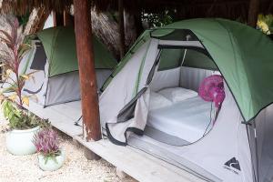 Foto dalla galleria di Mapache Hostel & Camping a Isola Holbox