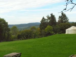 a green hill with a dome on top of a field at Yourte et nature in Magnien +8 photos