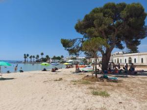 een groep mensen op een strand met een boom bij VILLA BIANCA Porto Cesareo in Porto Cesareo