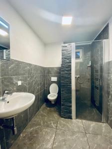 a bathroom with a toilet and a sink and a shower at Triple Room in Floridsdorf Area in Vienna