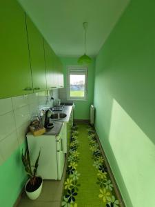Una cocina o cocineta en Apartman Vukan