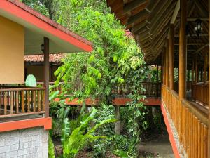 un bâtiment avec un mur vert orné de plantes dans l'établissement Hotel El Bambu, à Sarapiquí
