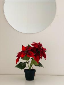 a vase with red flowers on a table under a mirror at Noah Longstay Skellefteå in Skellefteå