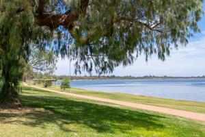 un árbol colgando sobre un camino junto a un lago en Bonney Shores en Barmera