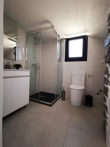 een badkamer met een glazen douche en een toilet bij CASA FLIPE t2 in Bragança