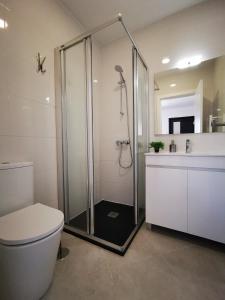 een badkamer met een douche, een toilet en een wastafel bij CASA FLIPE t2 in Bragança