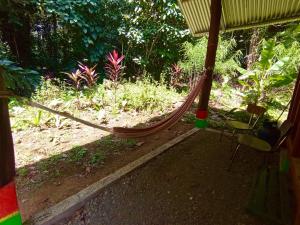 a hammock in a garden with a chair at Alouatta Hanging Bridges Adventure and Lodge in Cahuita