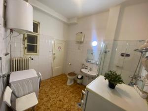 a bathroom with a toilet and a shower and a sink at Monolit Budapest Center Guesthouse in Budapest