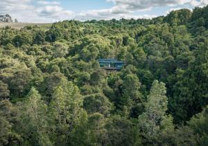 凯里凯里Mākoha PurePod的森林中间的火车