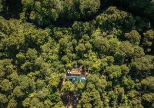 an aerial view of a house in the middle of a forest at Mākoha PurePod in Kerikeri