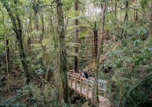 Mākoha PurePod في كيريكيري: شخصان يجلسون على جسر في غابة