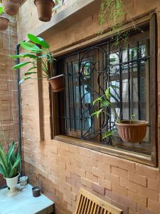 une fenêtre avec des plantes en pot sur un mur de briques dans l'établissement Keur Marieme, à Dakar