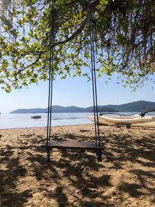 un columpio colgando de un árbol en una playa en NayMar Paraty Casa Familiar, en Paraty