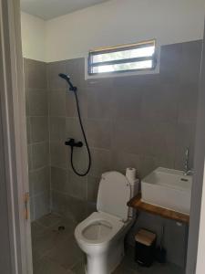 a bathroom with a toilet and a shower at MBS Studio LA CARAPA in Guenouillet