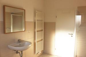 ein Bad mit einem Waschbecken und einem Spiegel in der Unterkunft Muskat in Hanhofen