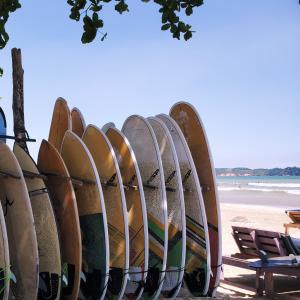 uma fila de pranchas de surf estão alinhadas na praia em Hoxton Bay Surf House weligama em Weligama