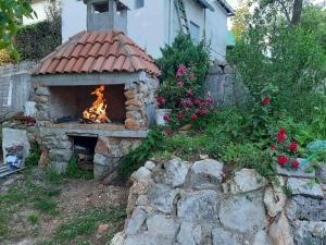 Zahrada ubytování Apartments with parking space Zlobin, Gorski kotar - 22631 + 3 fotografie