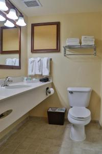 y baño con aseo, lavabo y espejo. en Sweetwater Lodge - Rock Springs - Green River, en Rock Springs