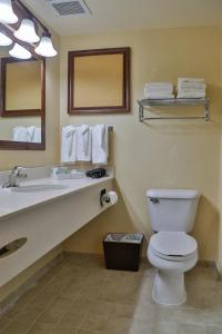 a bathroom with a toilet and a sink and a mirror at Sweetwater Lodge - Rock Springs - Green River in Rock Springs