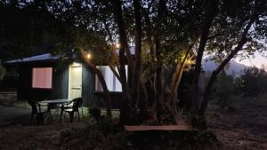 a table and chairs in front of a cabin at night at Peumayenlodge Cabaña moderna in Antuco