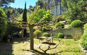 a garden with a table and a tree at Les Lauriandes in Les Baux-de-Provence +12 photos