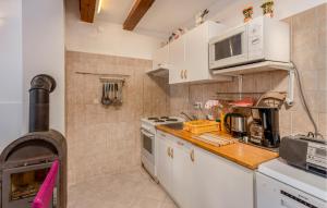 Kuchyňa alebo kuchynka v ubytovaní 1 Bedroom Awesome Apartment In Banjol